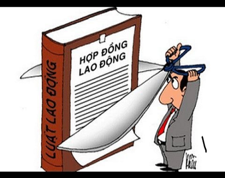 Dịch vụ luật sư Hà Nội