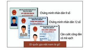 ID quốc gia Việt Nam